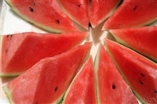 Yn uGRuXCJviQkTCYPʁj@i`Qʌ聄yԌzU12`624̊Ԃɔ\