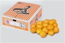 ݂ wxTiS`LTCYj  i`ɂ㋤I@yԌz121`1210̊Ԃɔ\