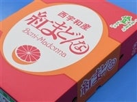 g܂ǂȁiϔ EǂkPTʁ`SkWʁji`ɂ@yԌz1210`1218̊Ԃɔ\