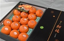 �n�E�X�A���R�[���i���ϔ��k�P�U�ʂ܂��͂Q�k�P�T�ʂ܂��͂R�k12�ʁj�i�`�ɂ�����@������������