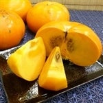 uV`viGSk`UkETʁ`Wʓj@i`\|@yԌz113`1113̊Ԃɔ\