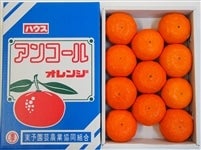 �u�n�E�X�A���R�[���v�G�k�P�R�ʂ܂��͂Q�k�P�P�ʁi��Q�����j�i�`���\���|�@�y�������Ԍ���z3��12���`3��21���̊Ԃɔ����\��