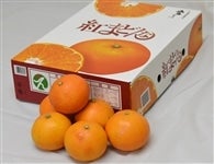 紅まどんな(お得用化粧箱・良L15玉〜4L8玉)JAえひめ中央*のし対応不可*【発送期間限定】12月9日〜12月19日の間に発送予定