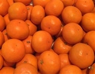 Gu݂Ȃ́vTiGr`kTCYj@i`ɂ@݂Ȃ̋I@yԌz1122`1130̊Ԃɔ\