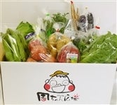 周ちゃん広場『新鮮！野菜（季節によっては果物も！）詰め合わせ』（愛媛県産）＊クール冷蔵＊随時発送中