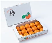 xL`iGRkPTʁj `QYEȐH̖o`@i`QyԌz115`1125̊Ԃɔ\