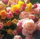 Xv[oԑ@PO{@i`\|@