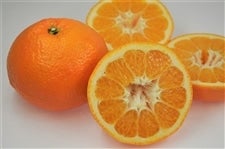 �{�����悩��@��S.�T�����i�ǈȏ�k�`�S�k�j�i�`���Ђߒ����@�y�������Ԍ���z1��27���`2��5���̊Ԃɔ����\��