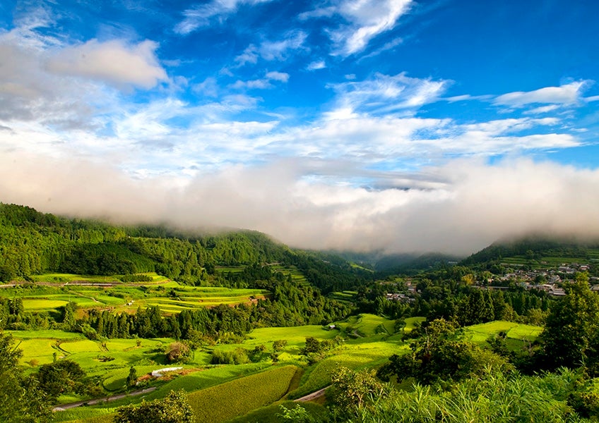 �y���V��̋����i