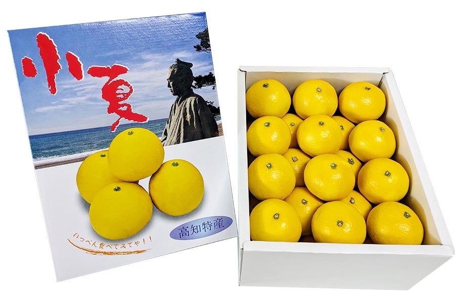 【贈答用】小夏 Sサイズ30玉入