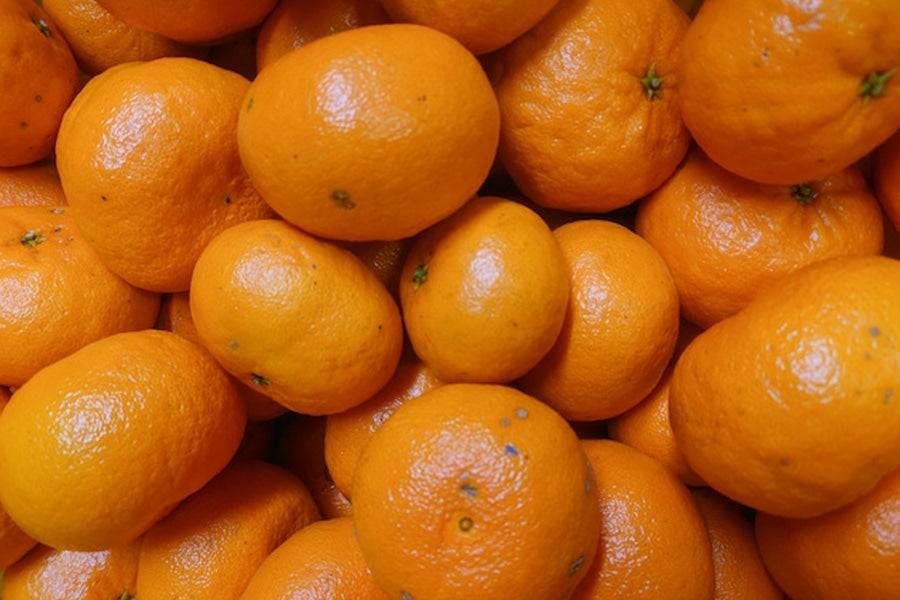 【ご家庭用】千光士農園 西南のひかり