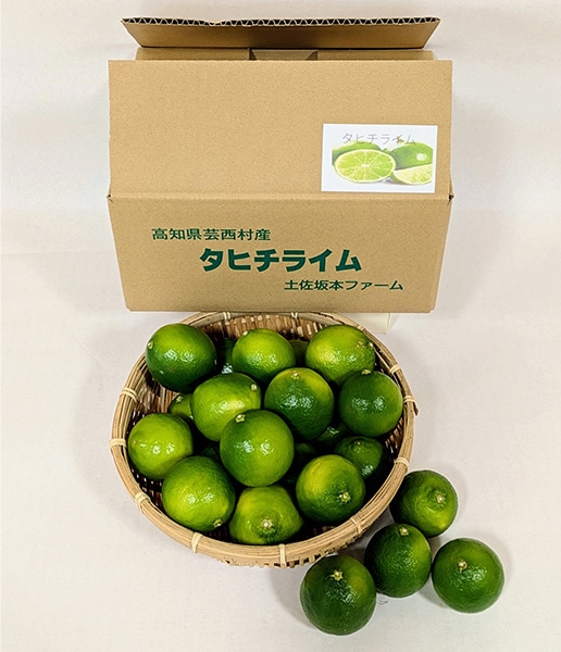 タヒチライム 約2kg(20玉～24玉）: とさのさとアグリコレット|【JA