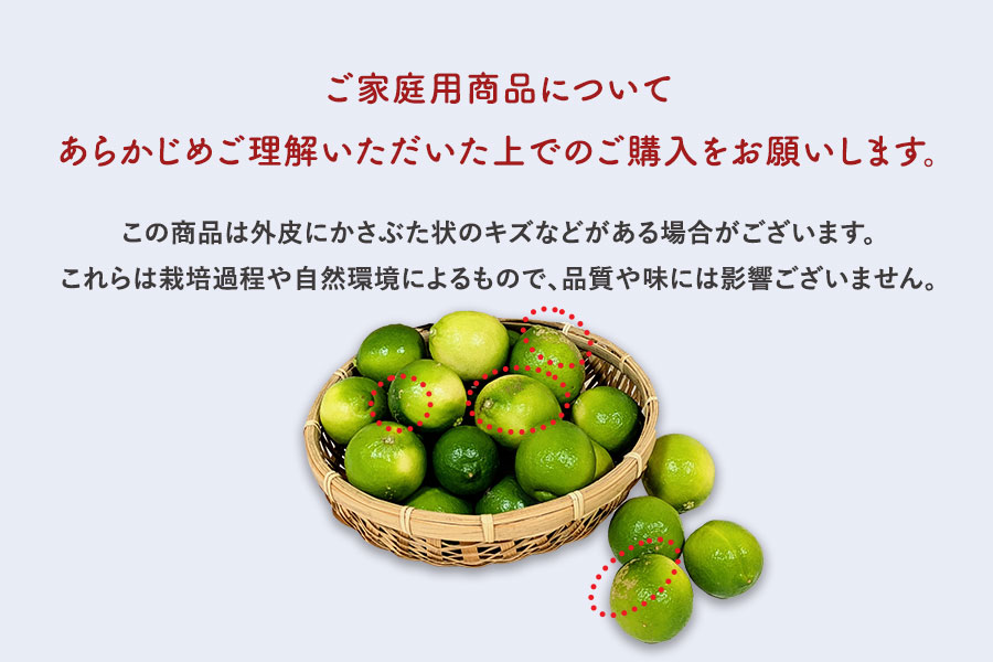 ご家庭用】タヒチライム 約2kg(20玉～24玉）: とさのさとアグリ