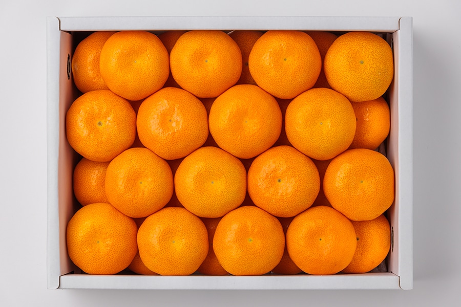 夏のJAタウン祭り】山北ハウスみかん S～M(24玉～32玉入) 約2.5kg