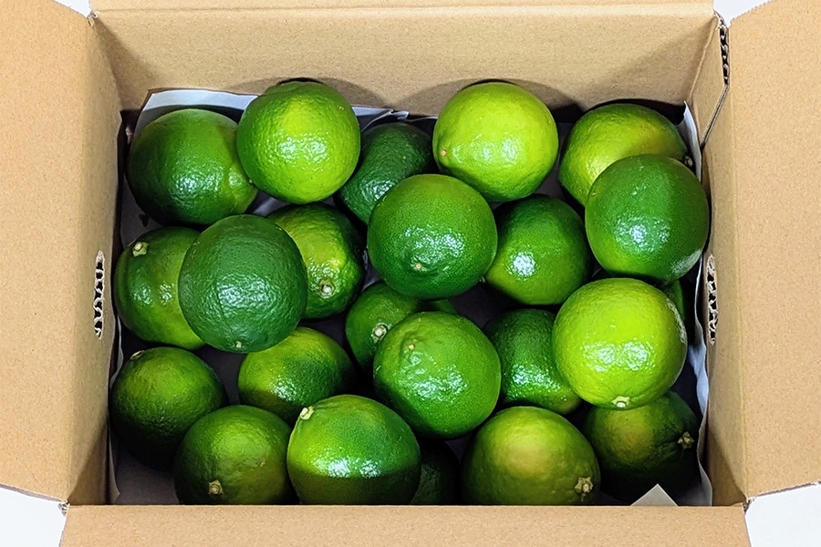 タヒチライム 約2kg(20玉～24玉）: とさのさとアグリコレット|【JA