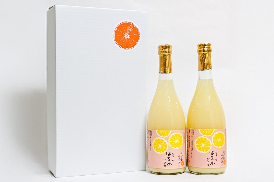 お歳暮】とろ～りはるかジュース 2本セット 720ml×2本: とさのさと
