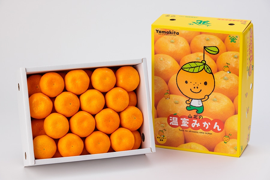 夏のJAタウン祭り】山北ハウスみかん S～M(24玉～32玉入) 約2.5kg