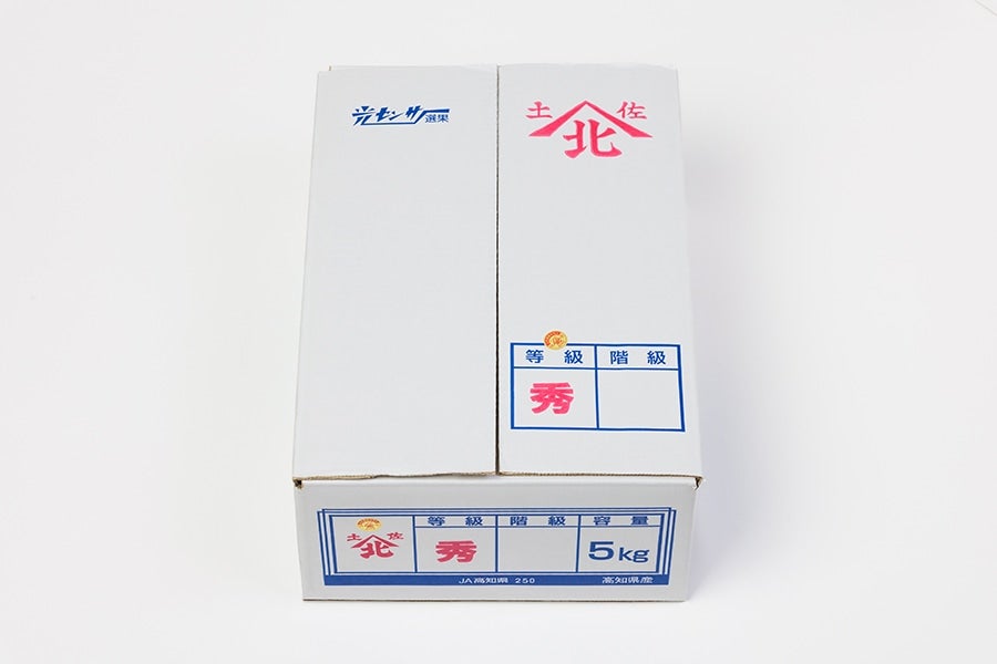 はちきんキッス(雨よけみかん）Sサイズ約5kg: とさのさとアグリ