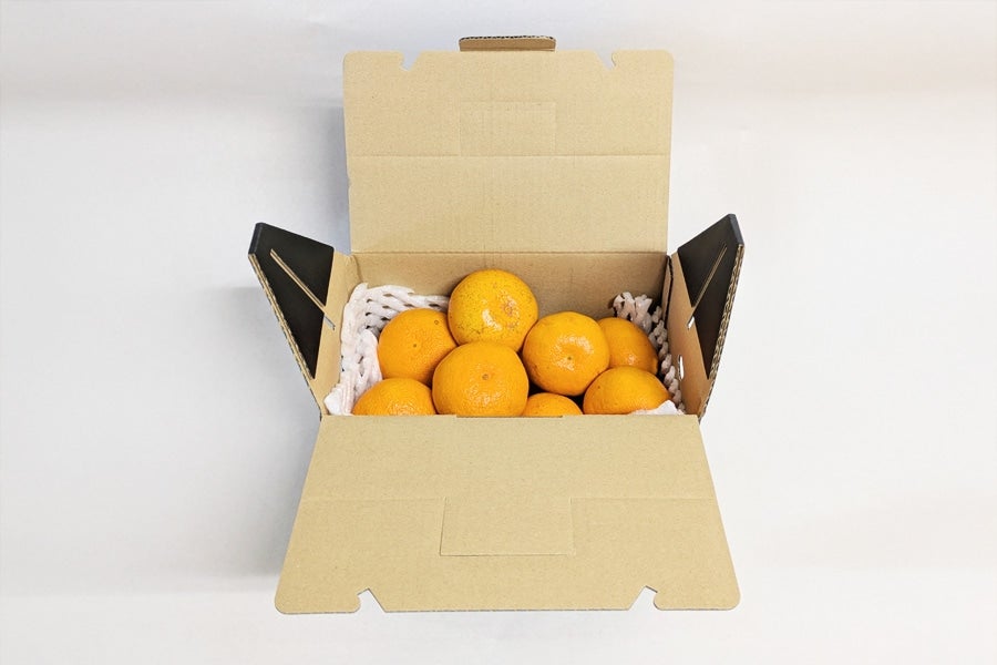 【ご家庭用】千光士農園 西南のひかり