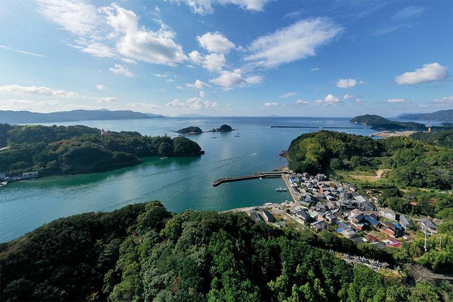 生姜真鯛 鯛しゃぶセット