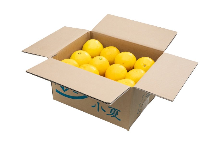 【贈答用】岡宗農園 露地小夏 約5kg