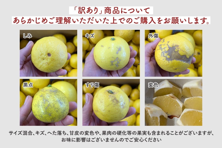 【訳あり】岡宗農園 ハウス小夏 約3kg