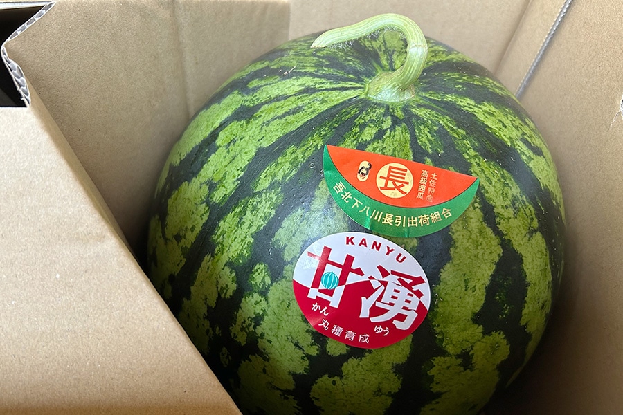 すいかページ 長引すいか 1玉・3Lサイズ（約7kg）: とさのさとアグリコレット|【JA