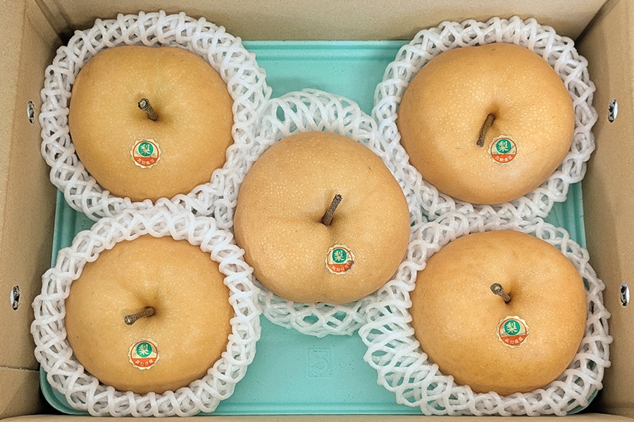 梨 豊水 約2kg（4～6玉入り）: とさのさとアグリコレット|【JAタウン