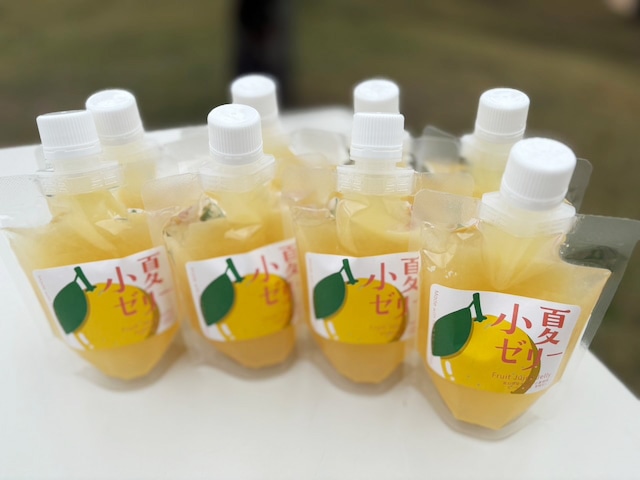 お歳暮】 小夏・直七ゼリーセット 160g×8個(各4個): とさのさとアグリ