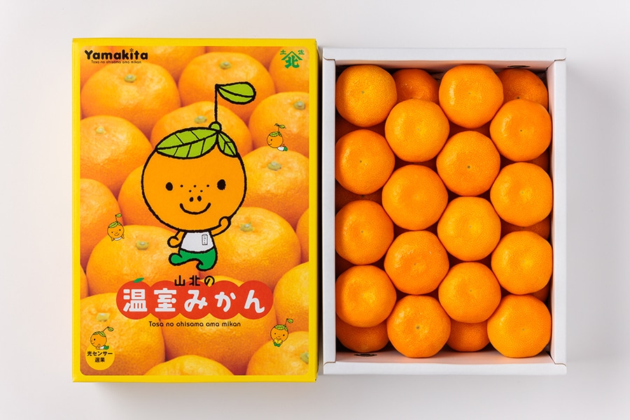 夏のJAタウン祭り】山北ハウスみかん S～M(24玉～32玉入) 約2.5kg