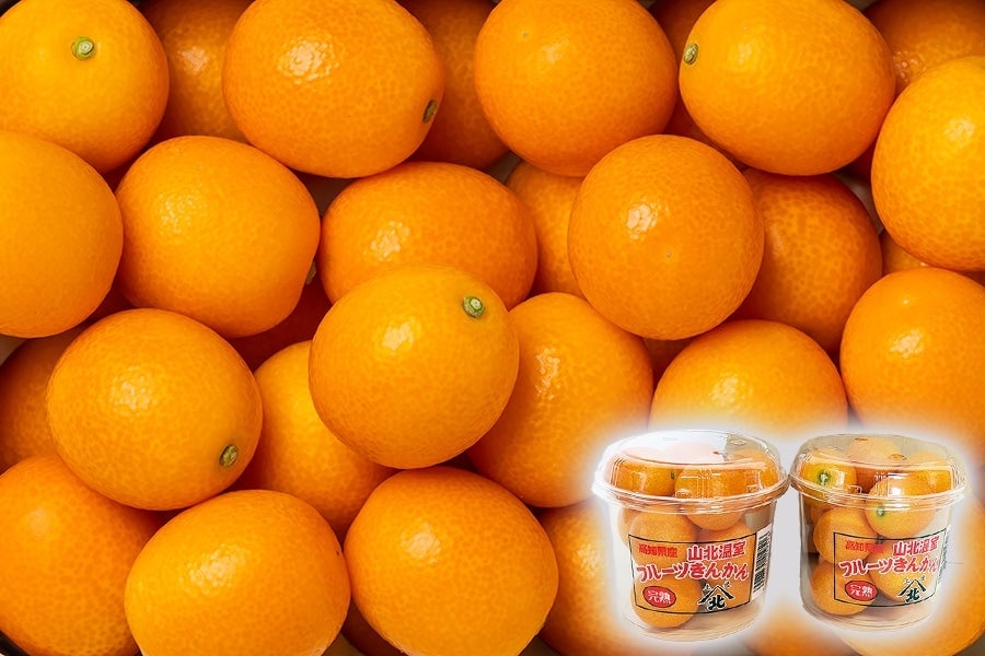 完熟ハウスきんかん