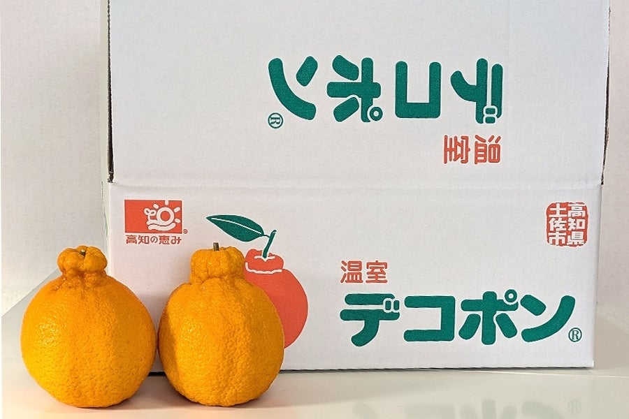 でこぽん 約3kg(8~12玉): とさのさとアグリコレット|【JA