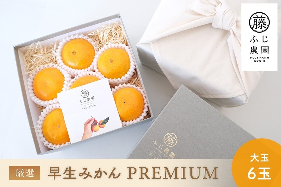 ふじ農園 早生みかん「PREMIUM|プレミアム」大玉6玉