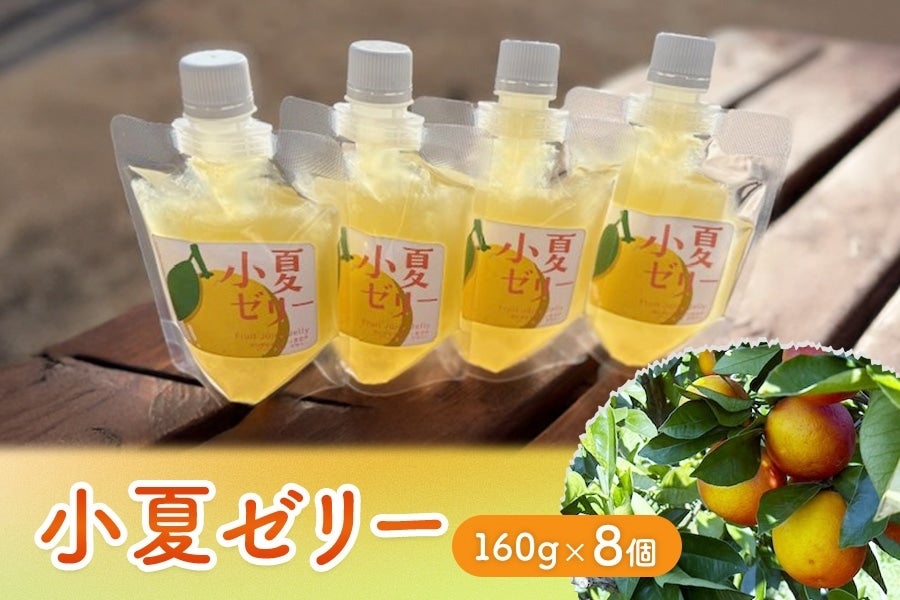 小夏ゼリー 160g×8個