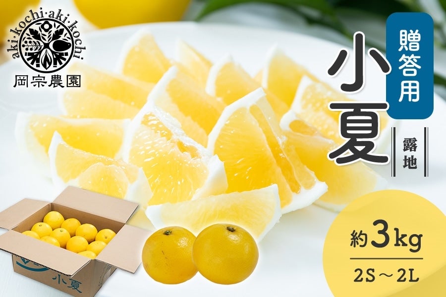 【贈答用】岡宗農園 露地小夏 約3kg