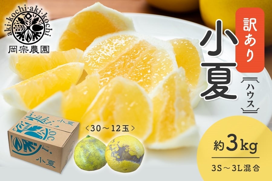 【訳あり】岡宗農園 ハウス小夏 約3kg