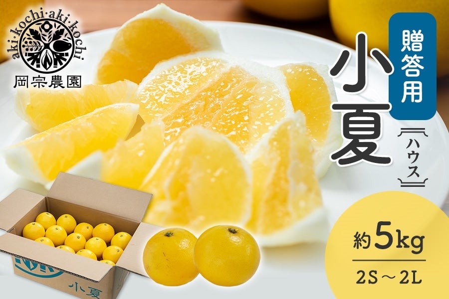 【贈答用】岡宗農園 ハウス小夏 約5kg