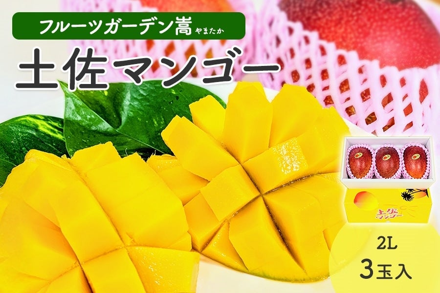 フルーツガーデン嵩 土佐マンゴー 2L3玉入: とさのさとアグリコレット