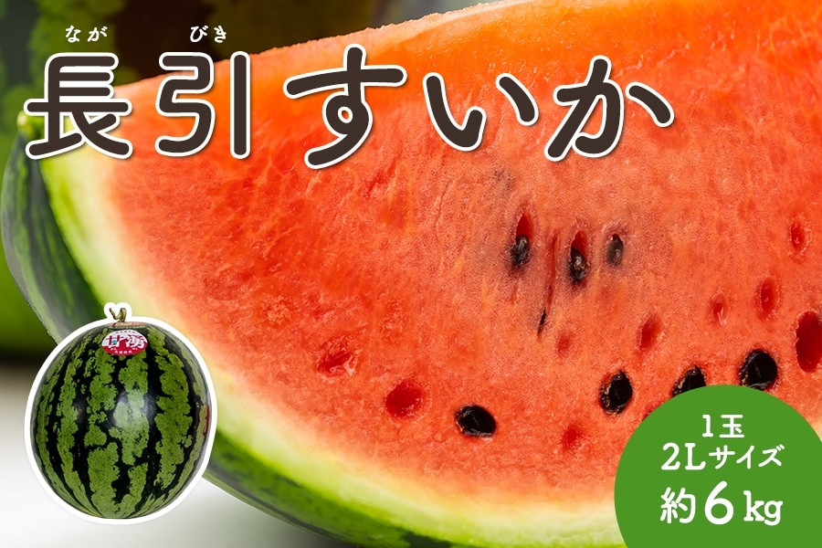 長引すいか 1玉・2Lサイズ（約6kg）: とさのさとアグリコレット|【JA