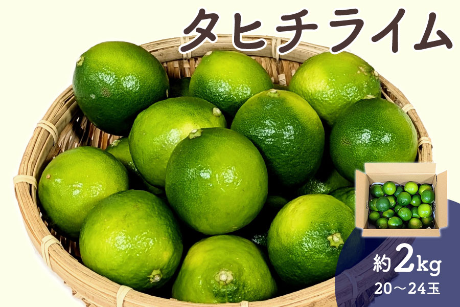 タヒチライム 約2kg(20玉～24玉）: とさのさとアグリコレット|【JA