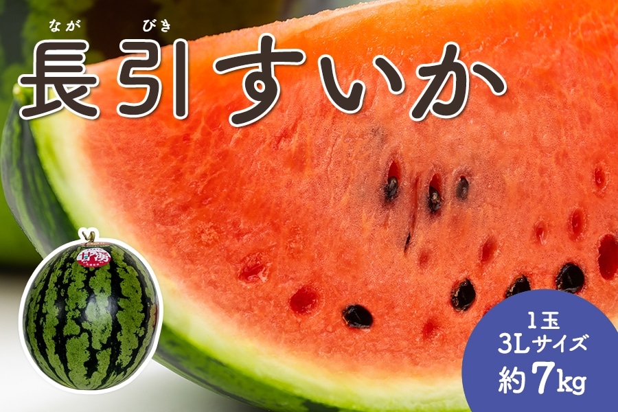 お中元】長引すいか 1玉・3Lサイズ（約7kg）: とさのさとアグリ