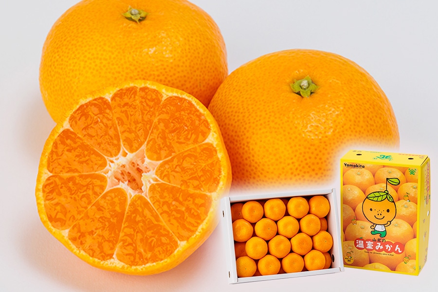 夏のJAタウン祭り】山北ハウスみかん S～M(24玉～32玉入) 約2.5kg