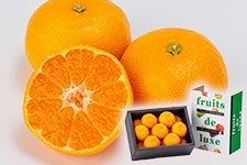 y̔IzRknEX݂@r(15ʓ)@1.2kg