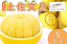 �y�ƒ�p�z�y�����U �t3L8�ʓ��i��5kg�j���b�L�[�����t�@2��2���ȍ~��������