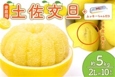 �y�ƒ�p�z�y�����U 2L10�ʓ��i��5kg�j���b�L�[�����t�@2��2���ȍ~��������