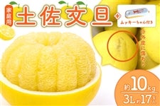 �y�ƒ�p�z�y�����U 3L��17�ʓ��i��10kg�j���b�L�[�����t�@2��2���ȍ~��������