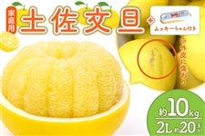 �y�ƒ�p�z�y�����U 2L��20�ʓ��i��10kg�j���b�L�[�����t�@2��2���ȍ~��������