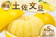 yIzyU 2L10ʓi5kgj