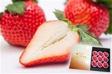 �y���ϔ��z��ʂ������@��������