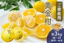 �y���ƒ�p�z �������@��3kg